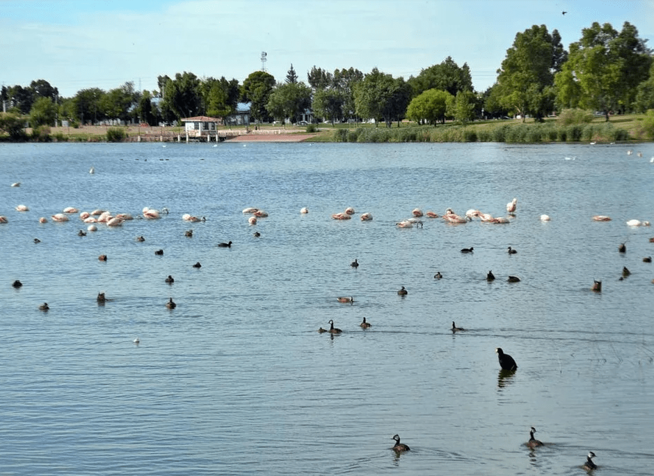 Trelew fue declarada «Ciudad de&nbsp;Humedal»