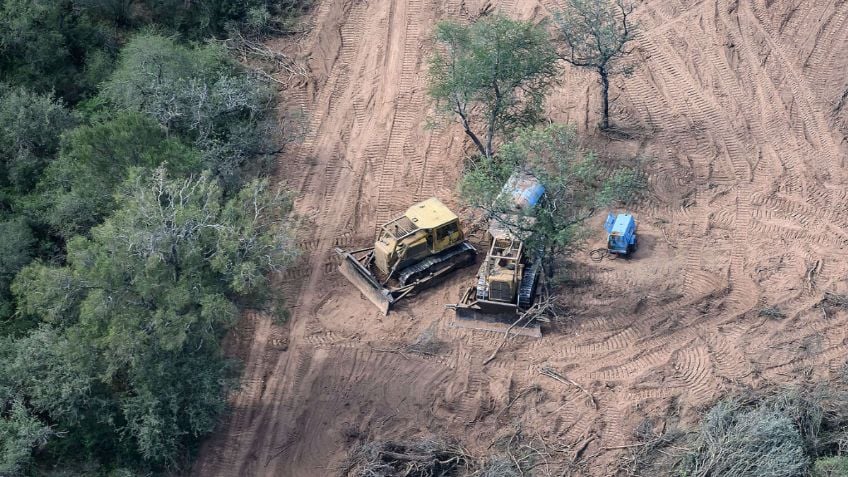 Piden la detención de un empresario por desmontes ilegales y desaparición de evidencia en&nbsp;Chaco