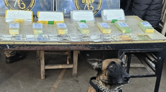 Desmantelan en Chaco banda narco transnacional que usaba mujeres y bebés como&nbsp;mulas