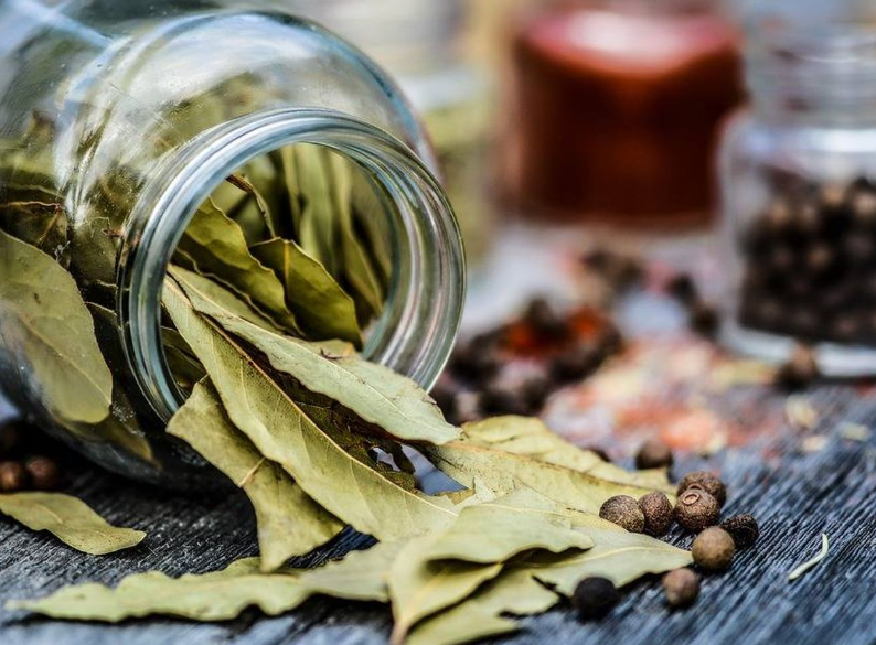 Soluciones caseras que eliminan las cucarachas para&nbsp;siempre