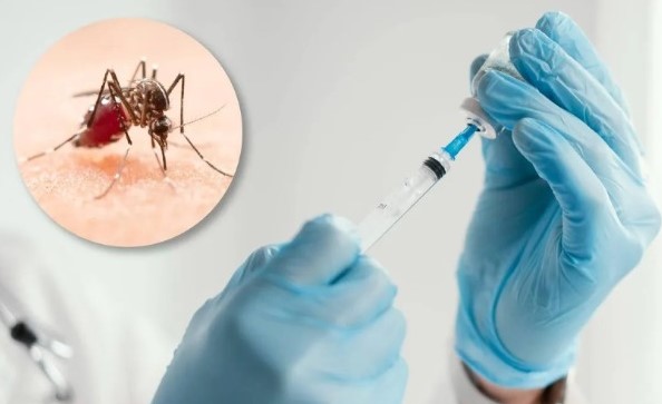 Ratifican la seguridad y efectividad de la vacuna contra el&nbsp;dengue