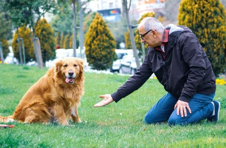 El contacto social y con animales favorece la salud intestinal en mayores de&nbsp;60