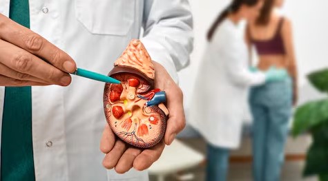Un simple estudio de orina podría modificar el panorama de la salud renal en el&nbsp;país