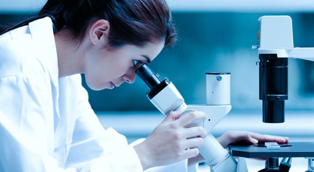 Día de la Mujer y la Niña en la Ciencia: promueven un futuro más inclusivo