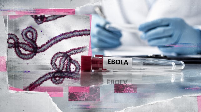 Bundibugyo: la cepa del ébola que encendió la alerta&nbsp;sanitaria