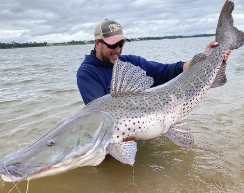 Prohíben la pesca en un tramo del río Paraná para proteger cardúmenes de&nbsp;surubí