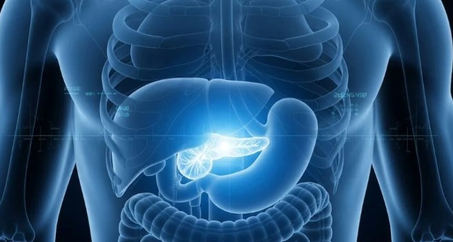 Nuevos resultados científicos impulsan la esperanza frente al cáncer de&nbsp;páncreas