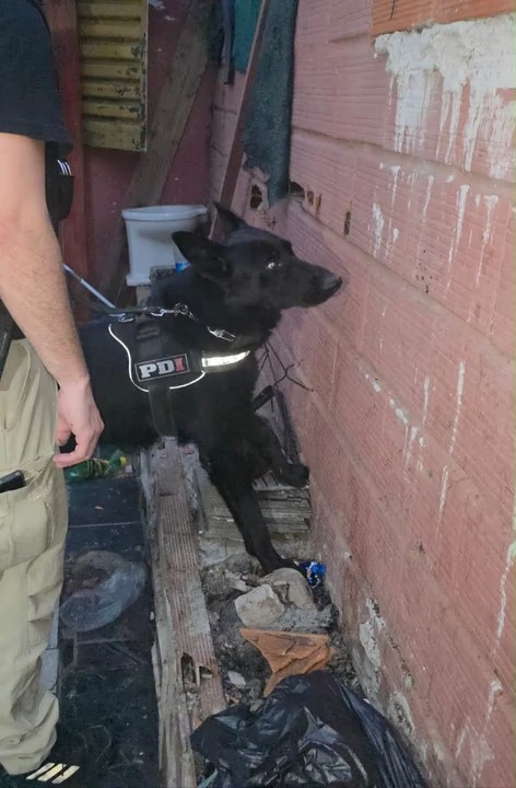Estrategia encubierta: cayó una banda narco tras un falso delivery en&nbsp;Rosario