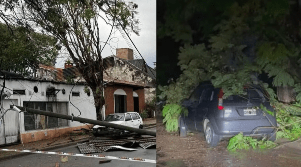 Una mujer murió tras ser aplastada por un árbol en Entre&nbsp;Ríos