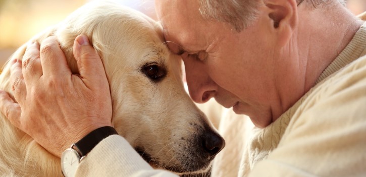 Buscan permitir mascotas en&nbsp;geriátricos