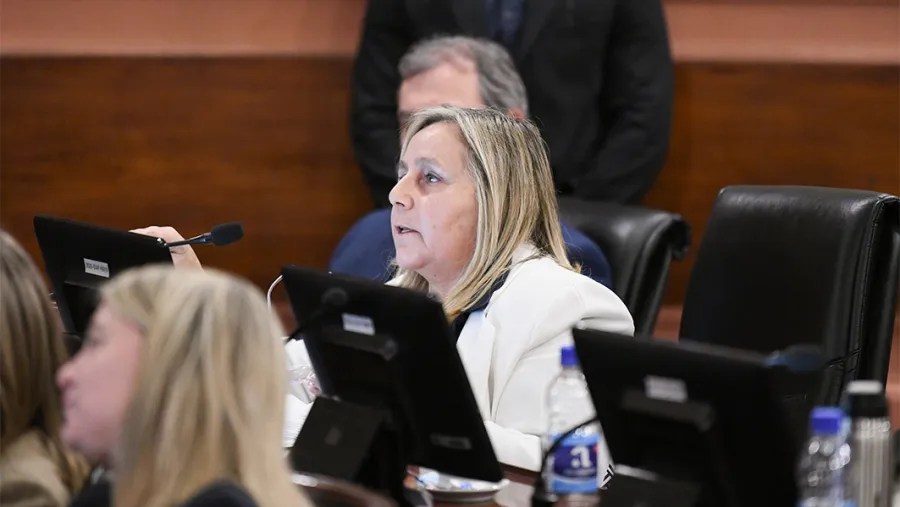Falleció la diputada provincial Julia Esther Calleros&nbsp;Arrecous