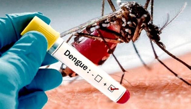 Dengue: América Latina debe reforzar la prevención 
